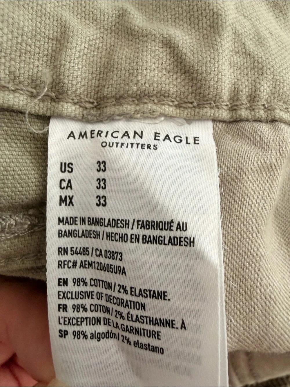 American Eagle Outfitters Olive/Tan Flat Front Men's Shorts